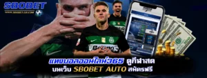 แทงบอลออนไลน์365 sbobet